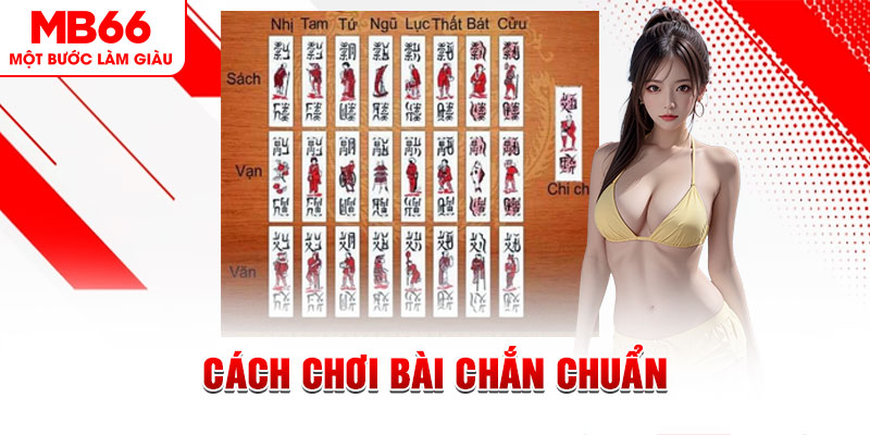 kuwin 789 gà chọi cậu thanh