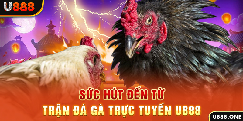 kuwin 789 đá gà trực tiếp c1