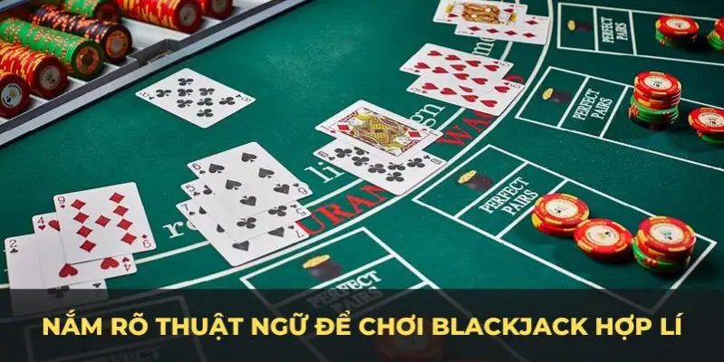 kuwin 789 c1 gà chọi