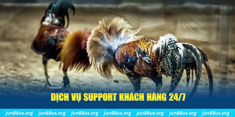 kuwin 789 ÁT CHỦ BÀI GIÀNH LẤY ZHUANG NIUNIU ( XEM 4 LÁ )