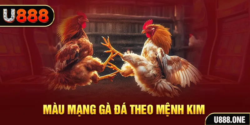 kuwin 789 Cỡ bảy