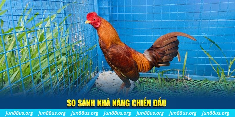 kuwin 789 CQ9 Điện Tử