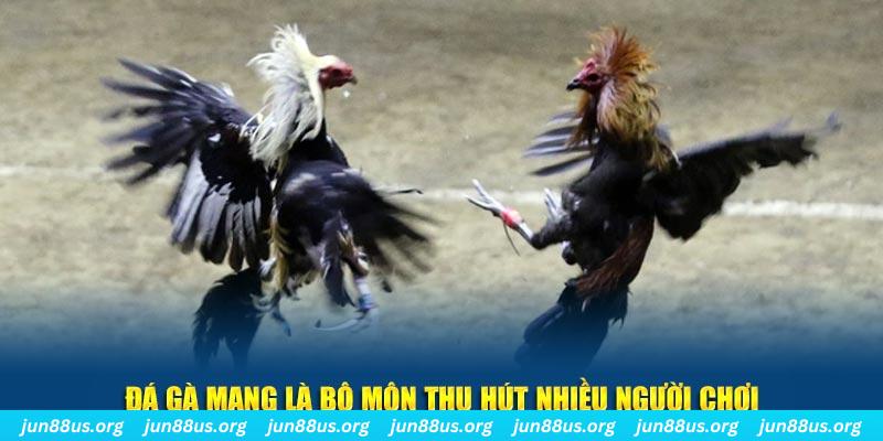 kuwin 789 bắn cá au88