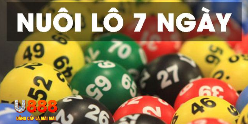 kuwin 789 what are slot machines