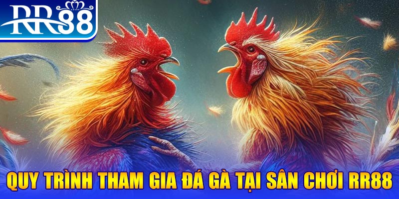kuwin 789 đá gà cam 67