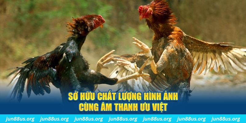 kuwin 789 PP Điện Tử