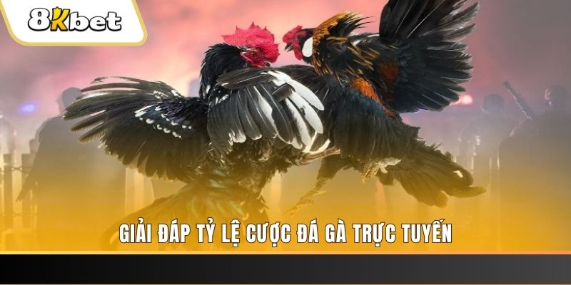 kuwin 789 xổ số đài miền trung
