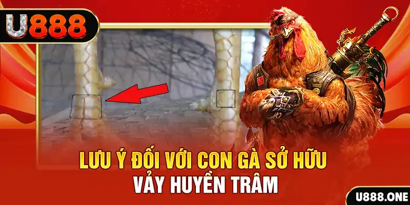 kuwin 789 kết quả xổ số miền nam hôm nay