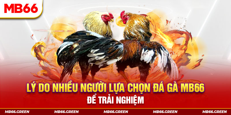 kuwin 789 xổ số miền bắc thứ bảy hàng tuần