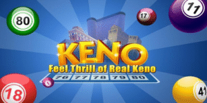 kuwin 789 gà chọi c1 thomo