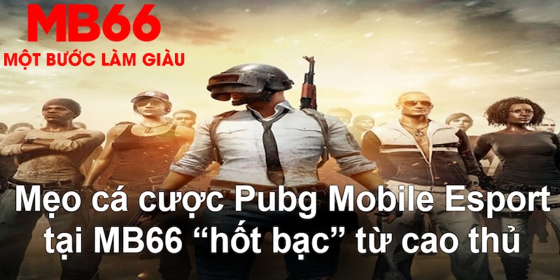 kuwin 789 VA Bắn cá