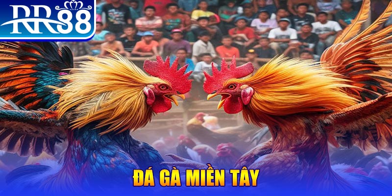 kuwin 789 no hu doi thuong ai