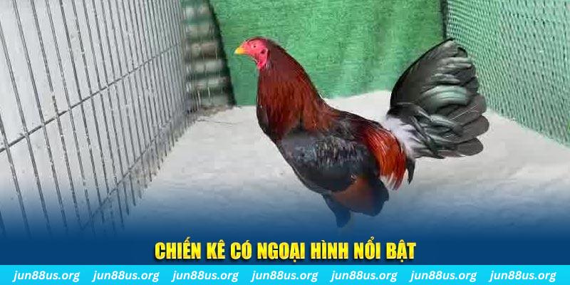 kuwin 789 game nổ hũ là gì