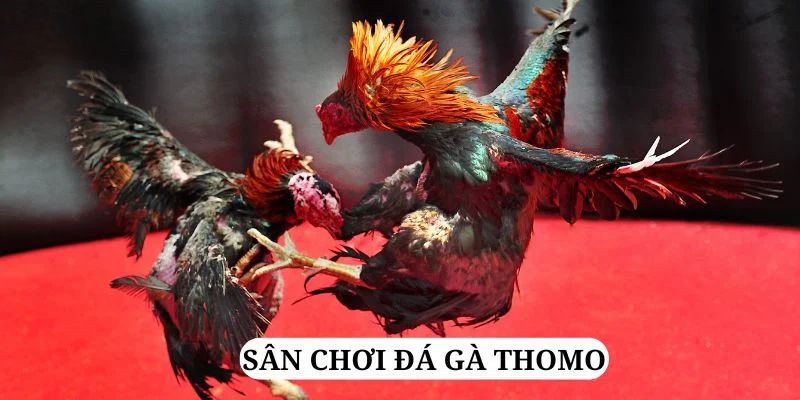 kuwin 789 trực tiếp xổ số miền bắc